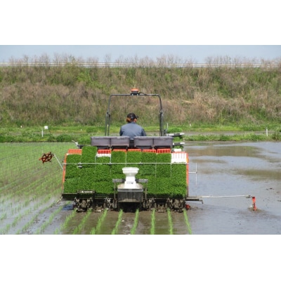 令和7年産 布袋様パッケージのひとめぼれ 5kg 千町田米(ちまちだまい)