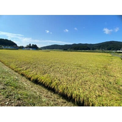 令和6年度産 布袋様パッケージのひとめぼれ 千町田米(ちまちだまい) 5kg