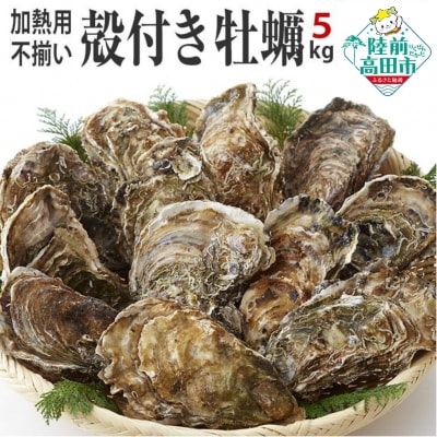 【訳あり】産地直送!不揃い殻付き牡蠣 5kg(加熱用・冷凍)