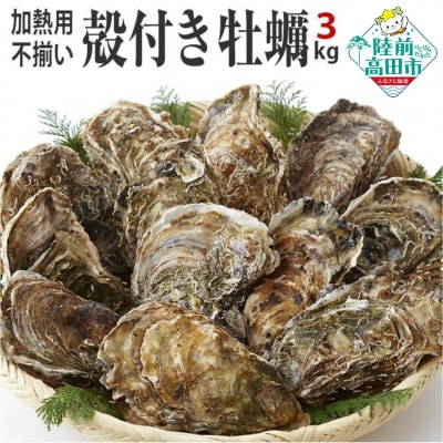 【訳あり】産地直送!不揃い殻付き牡蠣 3kg(加熱用・冷凍)