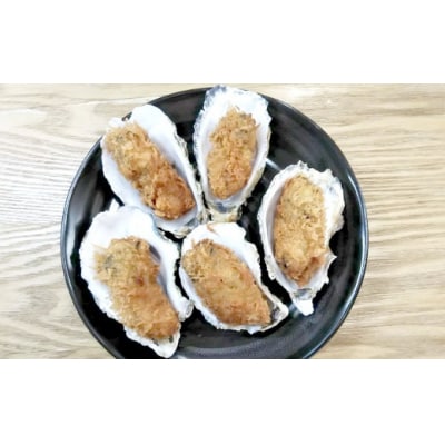 かき小屋広田湾の牡蠣フライ15個セット(5個入×3袋) 