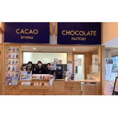 【薬剤師監修】 オーガニック チョコレート 1枚〈カカオニブ〉