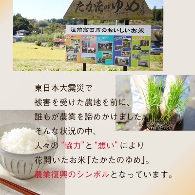 【12回定期便】ブランド米 たかたのゆめ パックごはん 24パック×12回