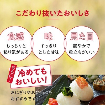 【12回定期便】ブランド米 たかたのゆめ パックごはん 24パック×12回
