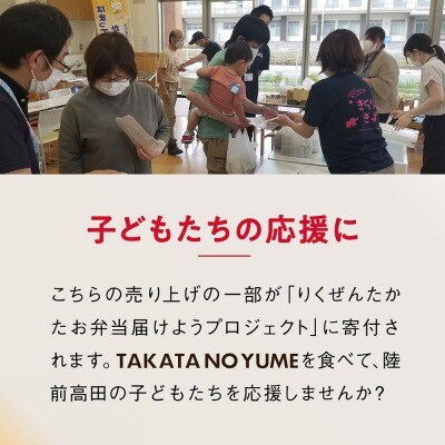 【12回定期便】ブランド米 たかたのゆめ パックごはん 24パック×12回