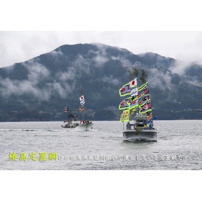 【椿島定置網】サバ水煮缶詰 6缶セット 外箱なし ご家庭用