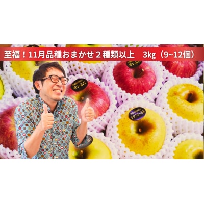 先行受付【落ちないりんご】11月の米崎りんご ぎゅっとセット 3kg