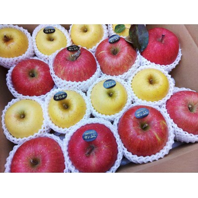 米崎りんご ぎゅっとセット 3kg 2品種以上入り 旬 りんご