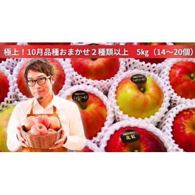 先行受付【渚のフォトグラフ】10月の米崎りんご ぎゅっとセット 5kg