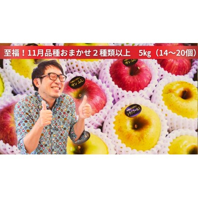 米崎りんご ぎゅっとセット 5kg 2品種以上入り 旬 りんご