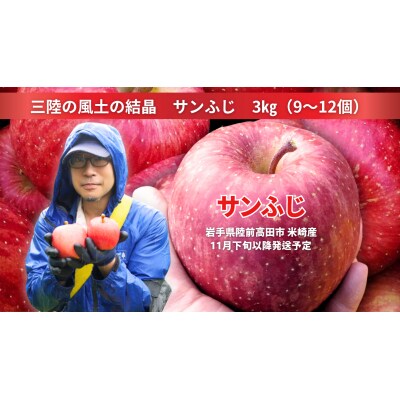 イドバダアップルの サンふじ 3kg ”三陸の風土の結晶” りんご フルーツ 旬