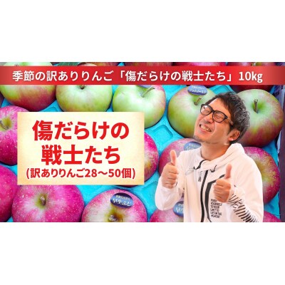 先行受付【訳あり品】傷だらけの戦士たち 季節のりんご MIX 10kg フルーツ 旬