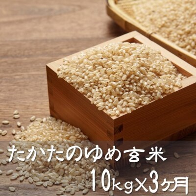 【3ヶ月定期便】 たかたのゆめ 玄米 10kg×3ヶ月 (合計30kg) 令和7年産 米 お米