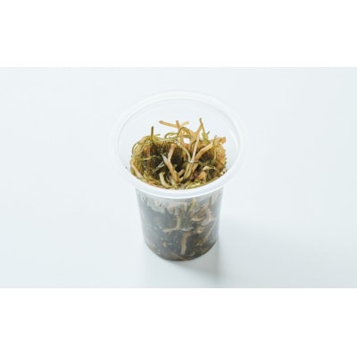 【簡単海鮮丼】けせんの海 一膳 特製松前漬 70g×1個