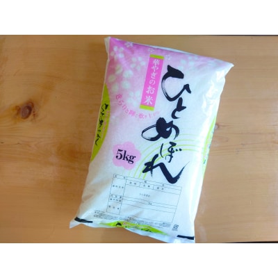 【先行受付】令和6年産 ひとめぼれ 5kg 石川製油