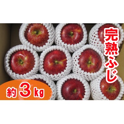 【先行受付】完熟りんご 「ふじ」 約3kg 清水農園