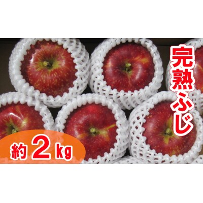 【先行受付】完熟りんご 「ふじ」 約2kg 大玉サイズ 清水農園