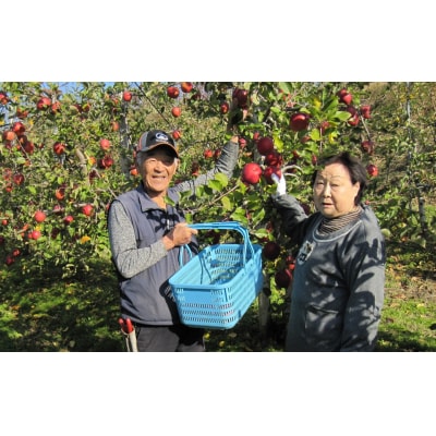 【先行受付】完熟りんご 「ふじ」 約2kg 大玉サイズ 清水農園