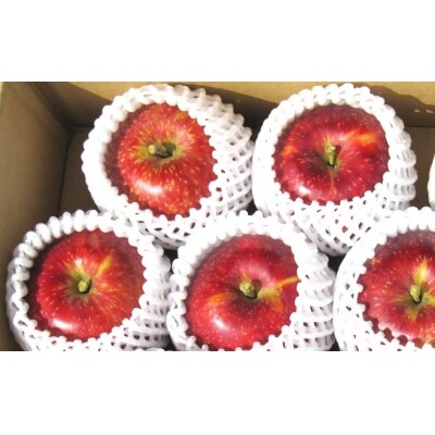 【先行受付】完熟りんご 「ふじ」 約3kg 蜜入り 清水農園