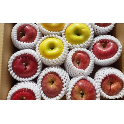 【先行受付】旬のりんご(洋梨含む) 約3kg 品種おまかせ 1種～2種 清水農園