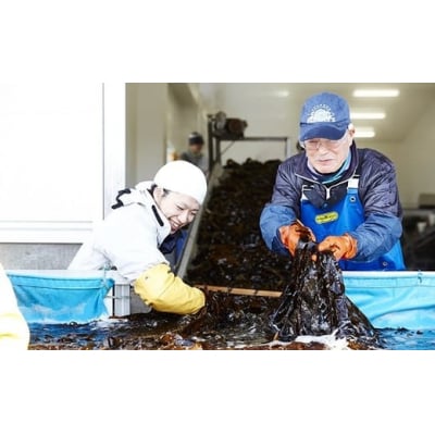 広田湾漁協からお届け!カットわかめ・ふのり・青のりセット