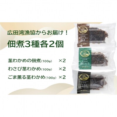 広田湾漁協からお届け!佃煮3種各2個セット