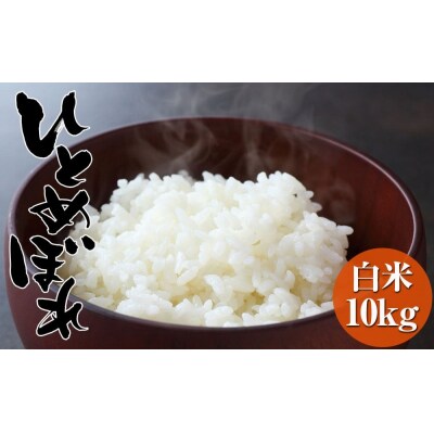 令和7年度産 海の見える農園で作った白米 10kg ひとめぼれ 米 白米 農家 応援 ごはん ライス