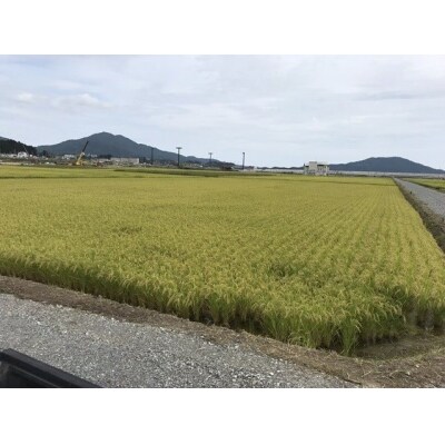 令和6年度産 海の見える農園で作った白米10kg ひとめぼれ
