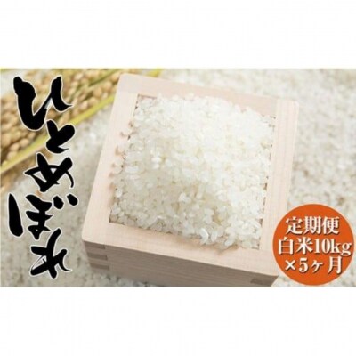 【5ヶ月定期便】令和7年度産 ひとめぼれ 10kg×5ヶ月定期便