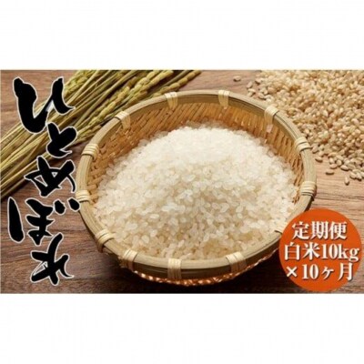 【10ヶ月定期便】令和6年度産 ひとめぼれ 10kg×10ヶ月定期便