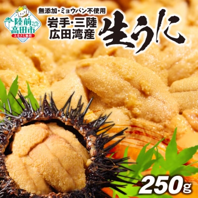 三陸産 生うに 250g (塩水パック) 無添加 ミョウバン不使用 旬 新鮮 濃厚