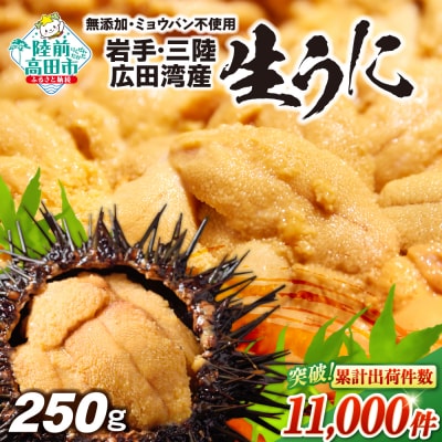 【先行受付】 三陸産 生うに 250g(塩水パック) 無添加 ミョウバン不使用 ウニ 旬 新鮮 濃厚