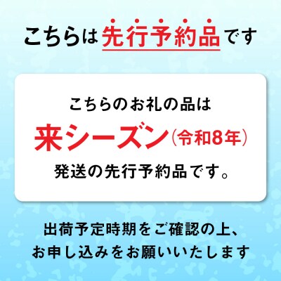 【先行受付】 三陸産 生うに 250g(塩水パック) 無添加 ミョウバン不使用 ウニ 旬 新鮮 濃厚