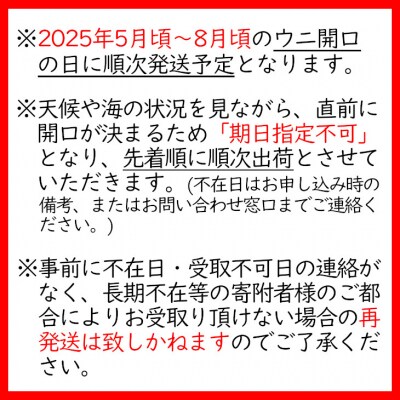 三陸産 生うに 250g (塩水パック) 無添加 ミョウバン不使用 旬 新鮮 濃厚