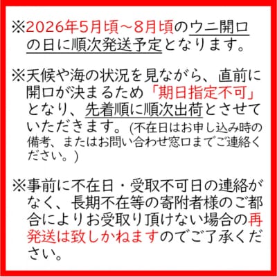 【先行受付】 三陸産 生うに 250g (塩水パック) 無添加 ミョウバン不使用 旬 新鮮 濃厚
