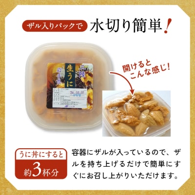 【先行受付】 三陸産 生うに 250g(塩水パック) 無添加 ミョウバン不使用 ウニ 旬 新鮮 濃厚