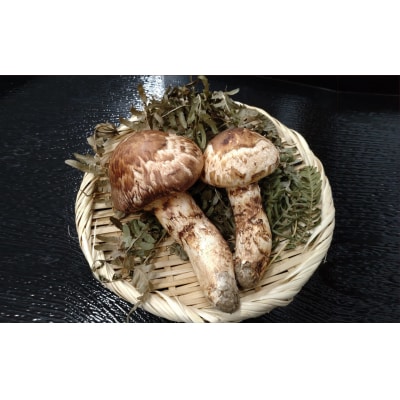 【民宿 沼田屋】松茸ごはんの素 2合用 (岩手県産松茸100g入り)