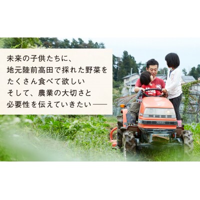 【定期便6ヶ月/毎月2回発送】ひころいちファーム定番野菜セット 約5～7種類 計12回お届け
