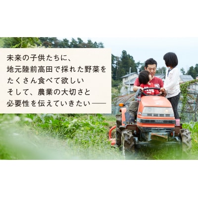 【定期便12ヶ月/毎月2回発送】ひころいちファーム定番野菜セット 約5～7種類 計24回お届け