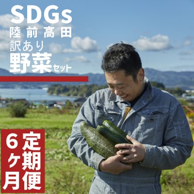 【定期便6ヶ月】訳あり 野菜セット 約3～4種類 農家のおすそわけ ひころいちファーム