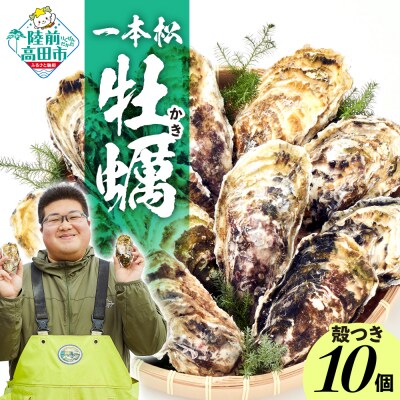 『一本松牡蠣』 生食用 殻付き牡蠣 10個 セット かき カキ 三陸産 産地直送