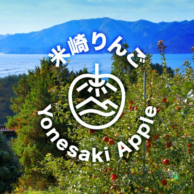 りんごの王様「サンふじ」 7個入り 贈答用 【 りんご 米崎りんご 産地直送 】