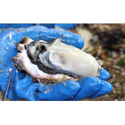 牡蠣 むき身 1kg ( 500g×2袋 ) 中サイズ 加熱用 【広田第十八玉丸】