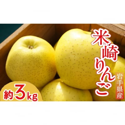 フレッシュ りんご 「シナノゴールド」3kg 【清水農園】