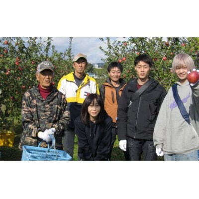 フレッシュ りんご 「シナノゴールド」3kg 【清水農園】