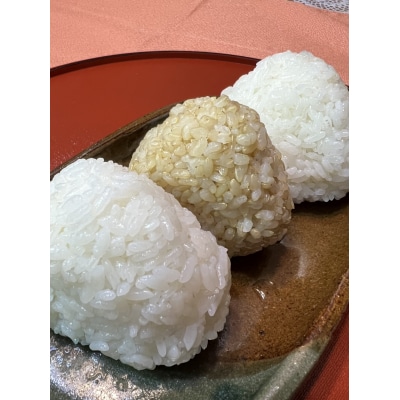 令和7年産 新米 白米 5kg 品種:たかたのゆめ まーちゃんファーム