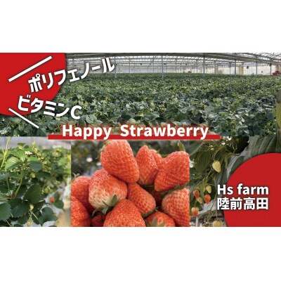 【数量限定/先行受付】 2回定期便 新鮮いちご〈品種:紅ほっぺ〉 約2kg (250g×8パック)