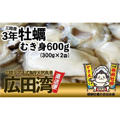 むき身牡蠣 Mサイズ 600g(300g×2p) 【 横綱牡蠣の吉田水産 】  かき カキ 三陸産