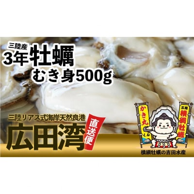 むき身牡蠣 Lサイズ 500g 【 横綱牡蠣の吉田水産 】 かき カキ 魚介類 三陸産