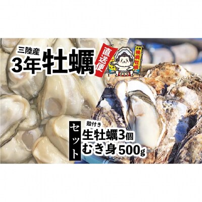 むき身牡蠣 500g+殻付き牡蠣 Mサイズ3個 セット 【 横綱牡蠣の吉田水産 】 かき カキ 三陸
